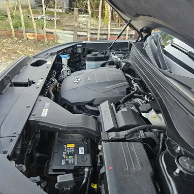 Vendo o negocio Hyundai Palisades 2020 caligrafhy - Img 111143585