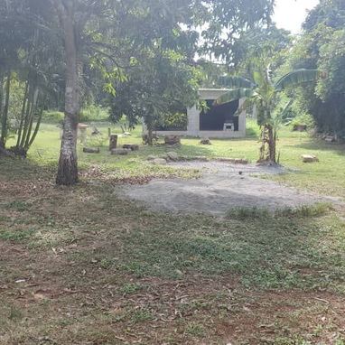 📌 (R): B-028-70 🏡💥 ¡MEGA PROYECTO LISTO PARA INVERTIR! PROPIEDAD VERSÁTIL - Img 123007406