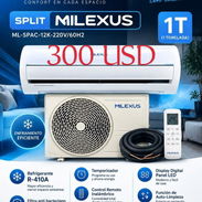 Esplic milexus - Img 57699403