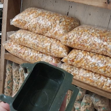Variedad de hamster( pequeños y grandes). Jaulas. Pienso. Comederos. Ruedas - Img 117571106