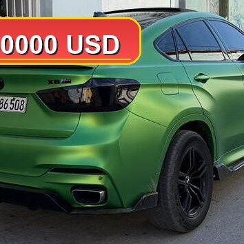 BMW X6 xDrive50i M Package - Img 124003861