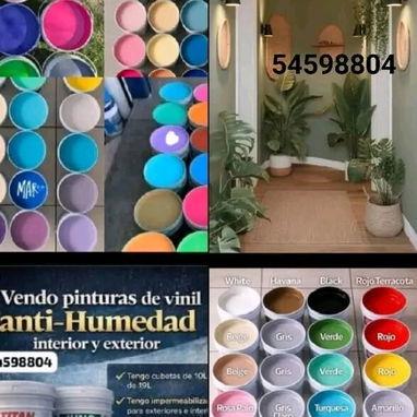 Pintura vinil y brochas 4" - Img 120904040