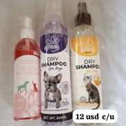 Shampoo seco y perfume para mascotas - Img 57212980