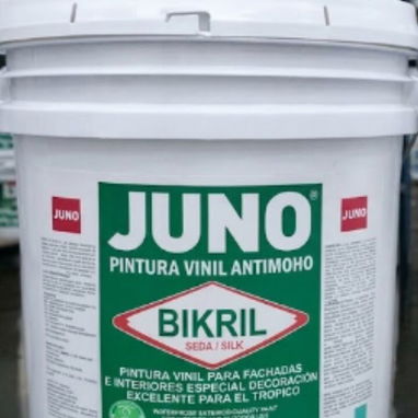 ¿Buscando la pintura perfecta para tu proyecto? ¡Tenemos todo lo que necesitas en un solo lugar! - 8/8