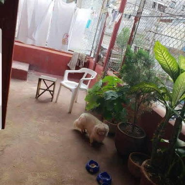 vendo casa en centro habana - Img 124289374