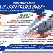 BUSCAMOS LICENCIADOS EN CONTABILIDAD - Img 50134231