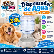 Dispensador de Agua 3.8 L para Perros - Img 57905902