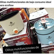 Olla multifuncional de bajo consumo 600 w 1 lt - Img 56374421