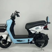 Bicimoto wilz pcfg - Img 56951483