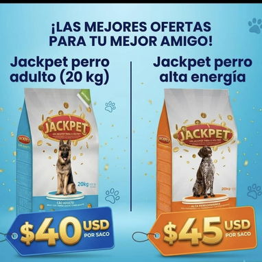 Pienso para perros 🐕 - Img 125681151