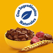 PEDIGREE® SOBRE – RES EN FILETES 150g - Img 58126691