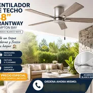 VENTILADOR DE TECHO 48” GRANTWAY – HAMPTON BAY (LT) - Img 56142140