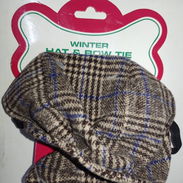 Gorro y lazo inglés para perros elegantes. - Img 55141500