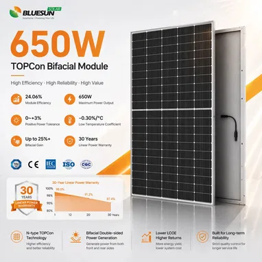 Paneles solares BLUESUN 650 W - Img 122582557