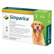 Simparica - Img 56398140