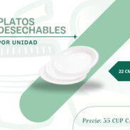 Platos desechables, absorbentes - Img 44823368