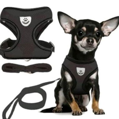Paseo y Seguridad para mascotas - 7/10