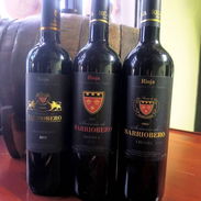 Vino Rioja - Img 56703063