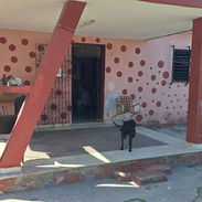 Casa independiente 2/4.patio.guanabo.boca ciega - Img 54984813