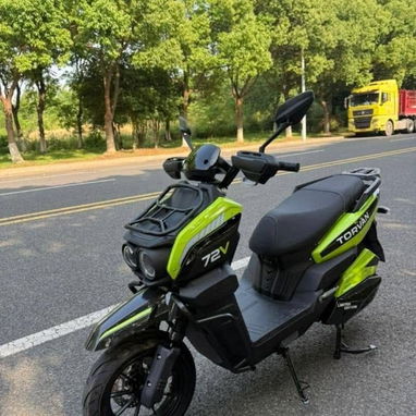 Moto eléctrica torvan - 3/4