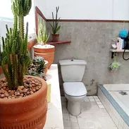 ajustable con dinero en mano - Img 57562631