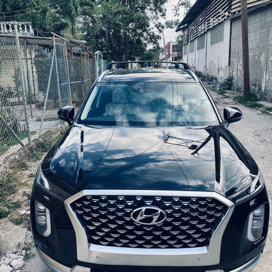 Vendo o negocio, Hyundai Palisade, 2021, Callygrafhy 4 × 4 - Img 120309957