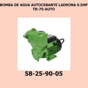 BOMBA DE AGUA AUTOCEBANTE LADRONA 0.5HP TR-75-AUTO - Img 55728132