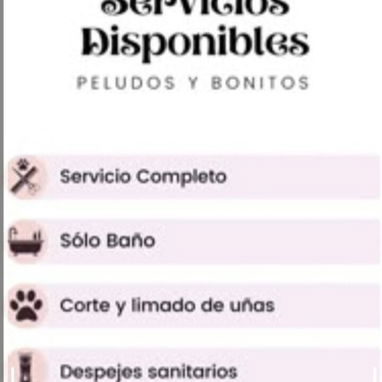 Peluquería canina domicilio disponible para todas las razas - Img 123259577