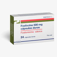 500mg Fosfomicina 10 - Img 58339388