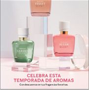 Bendo Perfumes  Mary Kay - Img 45978074