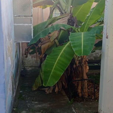 Vendo o rento casa en La Lisa,detrás del Hospital Frank País - 3/10