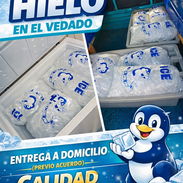 Hielo - Ventas de Hielo en el Vedado Tenemos Transporte Previo Acuerdo - Img 57871126