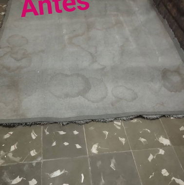 Limpieza de muebles, autos, alfombras y todo lo que desee limpiar que tenga tela , máquina y productos profesionales - Img 99553169