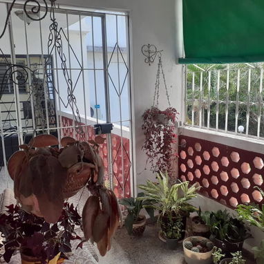 Casa En Guayabo - Img 123269824