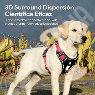 Pecheras de Perro con correa incluida - Img 122233849