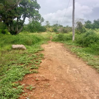 FINCA EN VENTA 🗝️🏡🌳 - Img 125702544