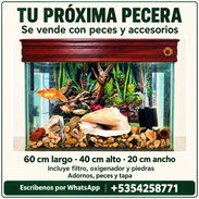 Pecera - Img 58109221