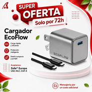 Cargador Multiuso marca ecoflow 0km - Img 57645167