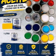 Pinturas de aceite y esmalte variedades de colores para rejas paredes carros ect - Img 57876941