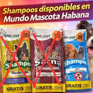 Shampoo para perros y gatos 45ml - Img 56889326
