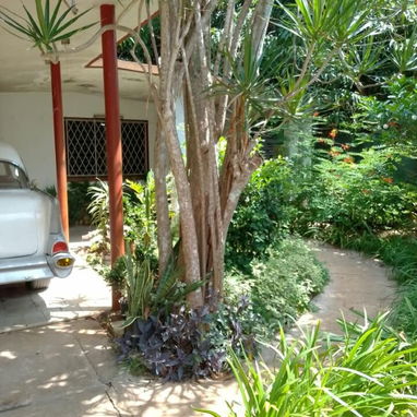 Se vende casa en la entrada del reparto Fontanar. Es la segunda casa en la avenida principal. Miguel 54755950 - 10/10