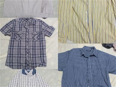 Camisas manga larga y corta - Img main-image