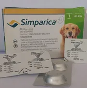 Simparica - Img 50574683