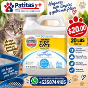 Arena Para Gatos - Img 57666448
