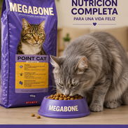 Alimento seco para gatos - Img 55700590