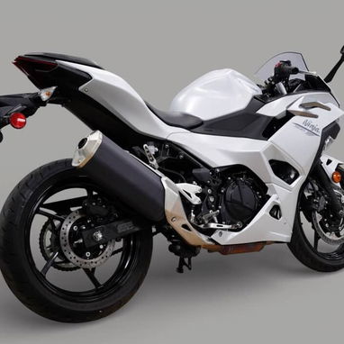 20225 Kawasaki Ninja 500 ABS - 2/4