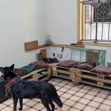 Apartamento 3ra Planta - 8500usd - 2/10