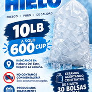 Vendo Bolsas de Hielo!! - Img 58032756