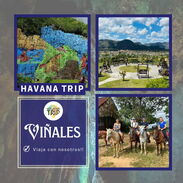 Excursión al Valle de Viñales. No dude en viajar con Havana Trip - Img 45119255