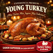 PAVOS CONGELADOS TURKEY VALLEY FARMS - Img 54095933